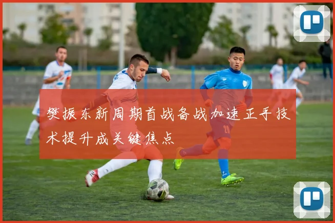 樊振东新周期首战备战加速正手技术提升成关键焦点