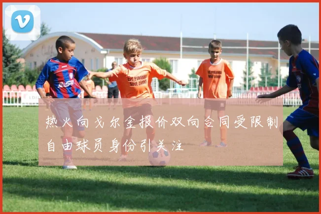 热火向戈尔金报价双向合同受限制自由球员身份引关注